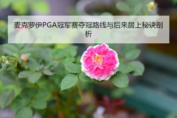 麦克罗伊PGA冠军赛夺冠路线与后来居上秘诀剖析