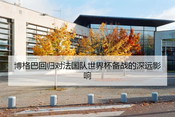 博格巴回归对法国队世界杯备战的深远影响