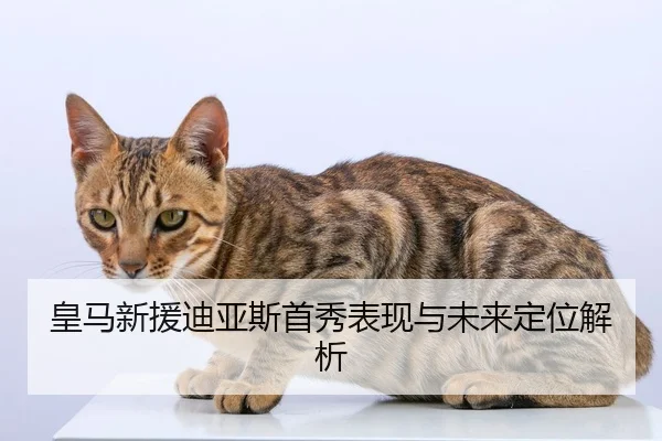 皇马新援迪亚斯首秀表现与未来定位解析